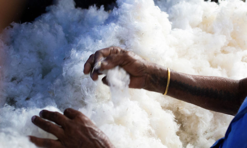Eco-Friendly Fibers